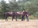 Športový deň 2011 Športový deň 2011